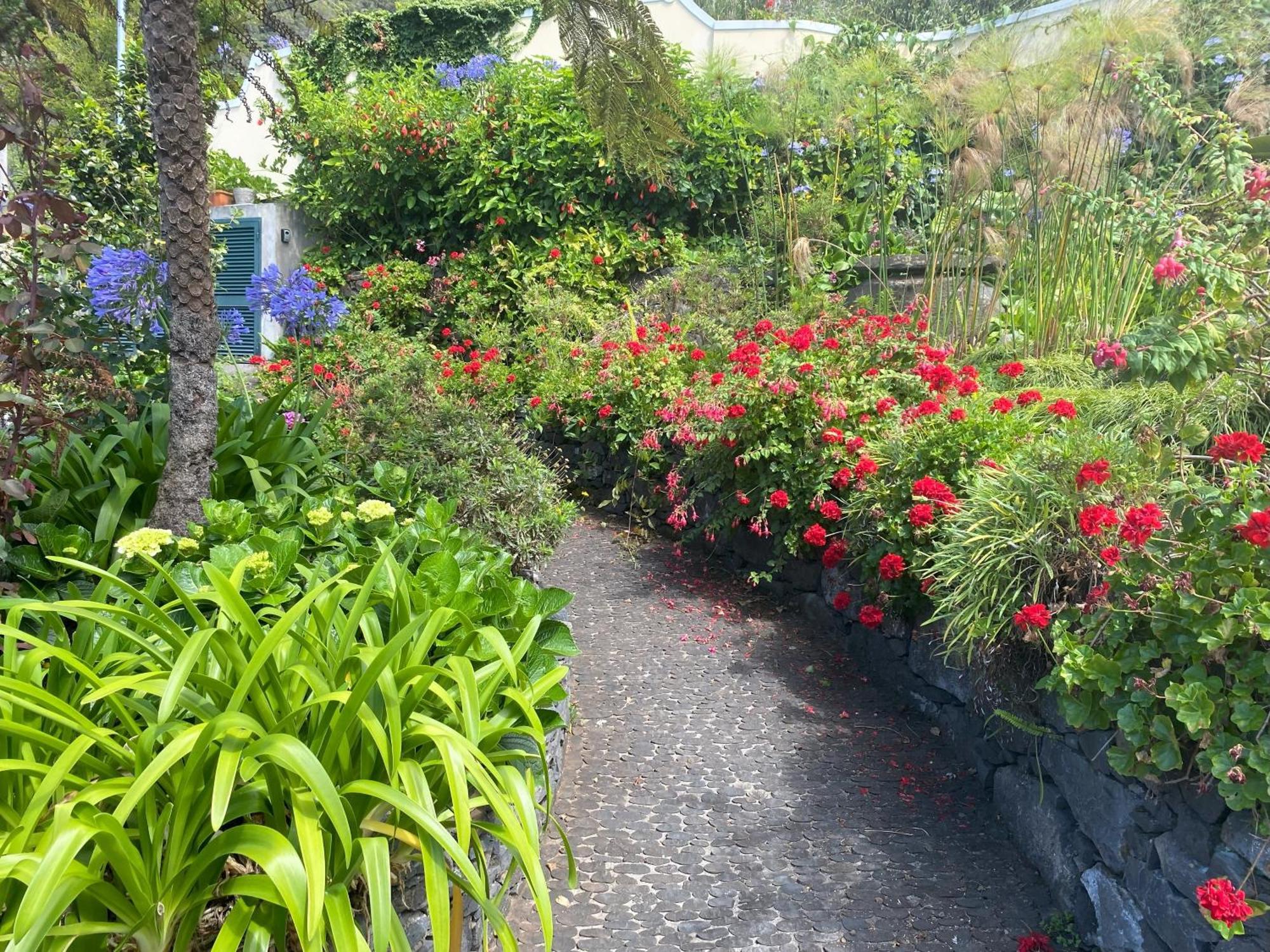Quinta Das Hortensias Arco de Sao Jorge Ngoại thất bức ảnh